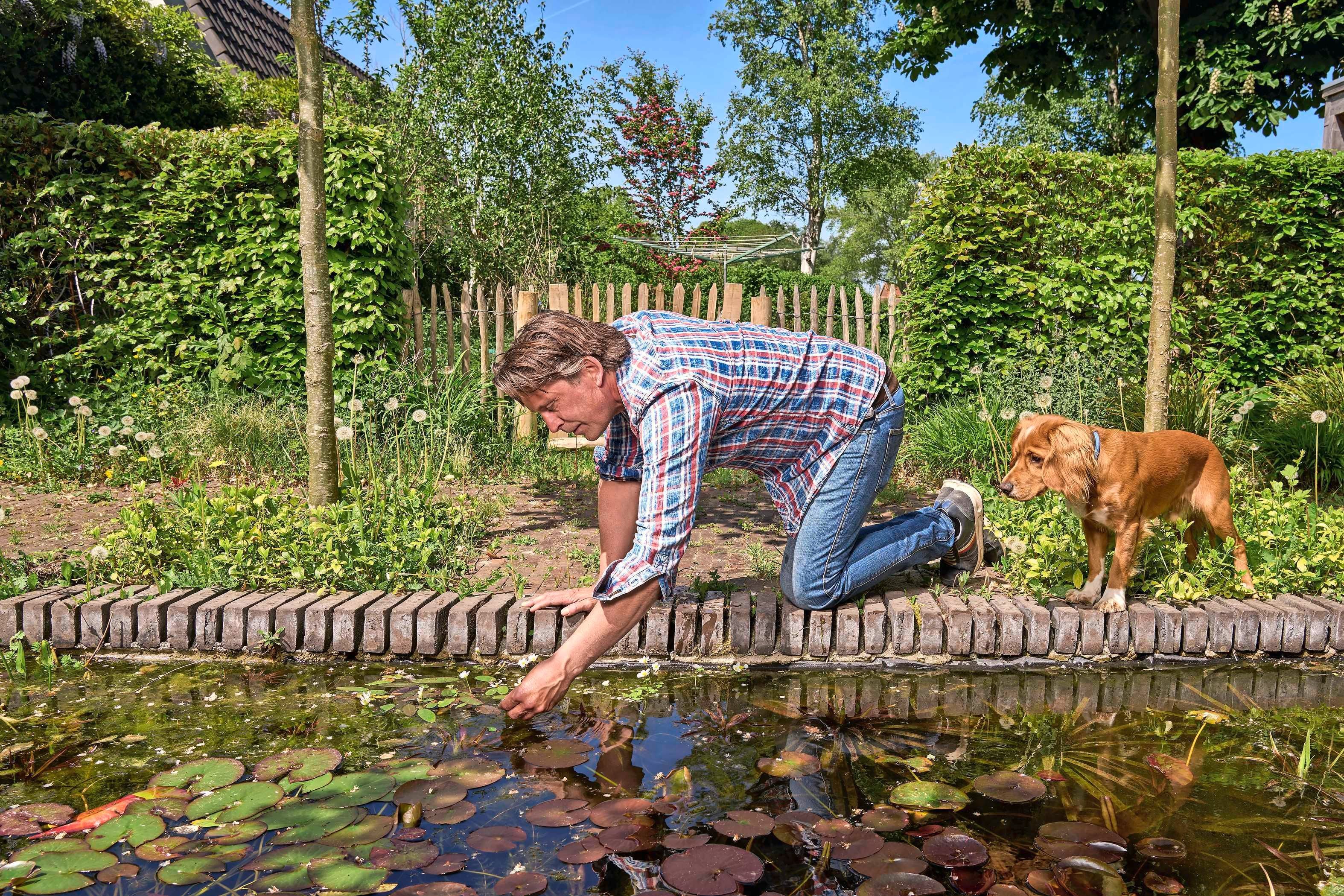 Je eigen groene oase: in 7 stappen naar een ’levende’ tuin